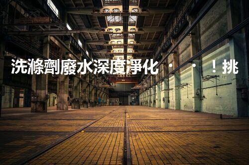 洗滌劑廢水深度凈化！挑戰(zhàn)與機(jī)遇究竟何在？